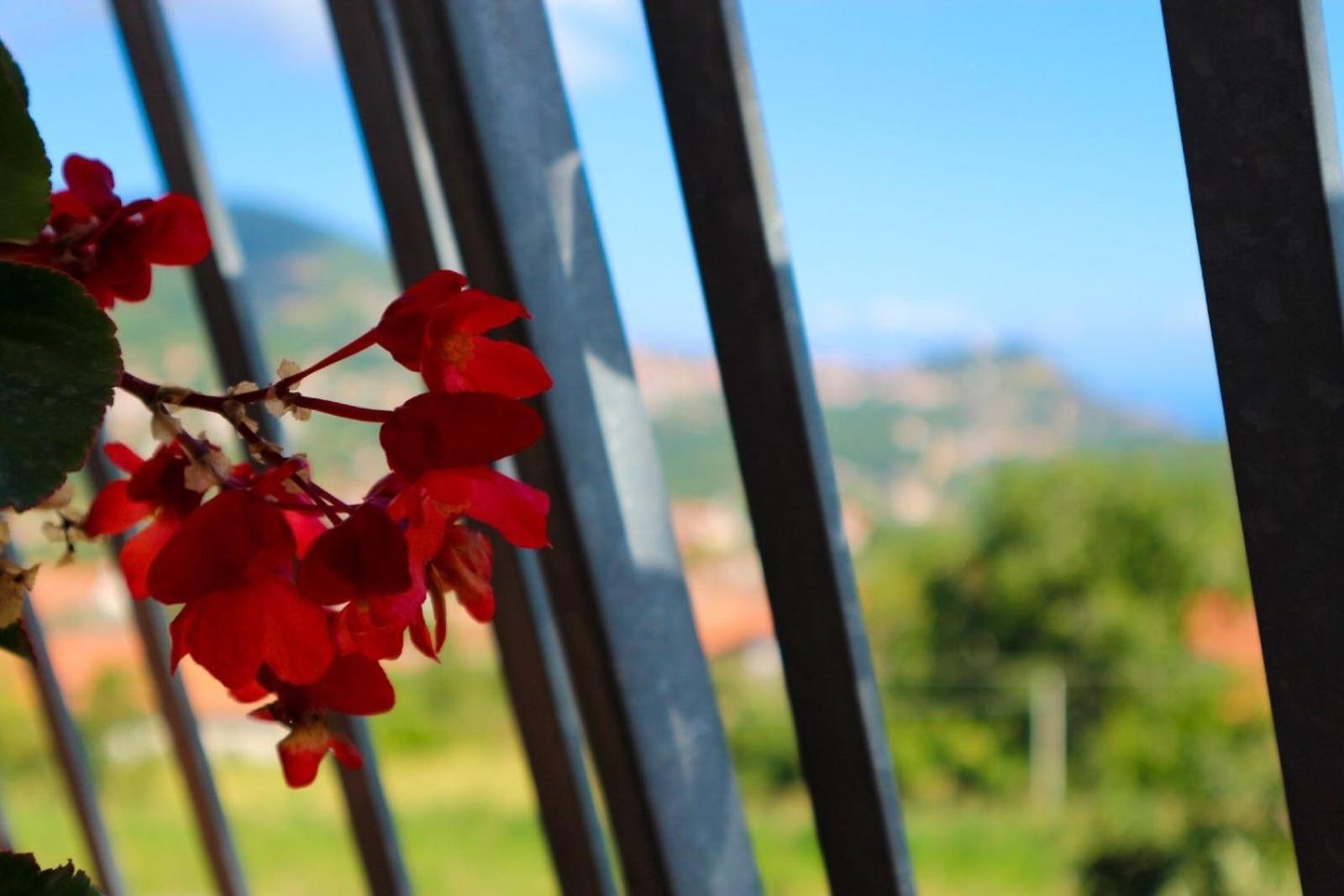 Il Balcone Delle Dee Villa Agerola Exterior photo